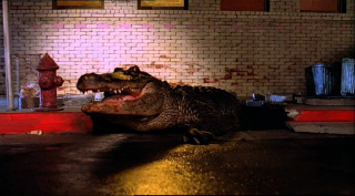 Illustration for article titled Volume One, Issue Forty-Eight: The One About Scary Alligator Stories